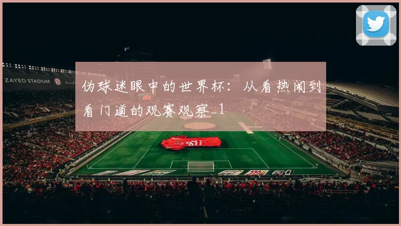 伪球迷眼中的世界杯:从看热闹到看门道的观赛观察_1